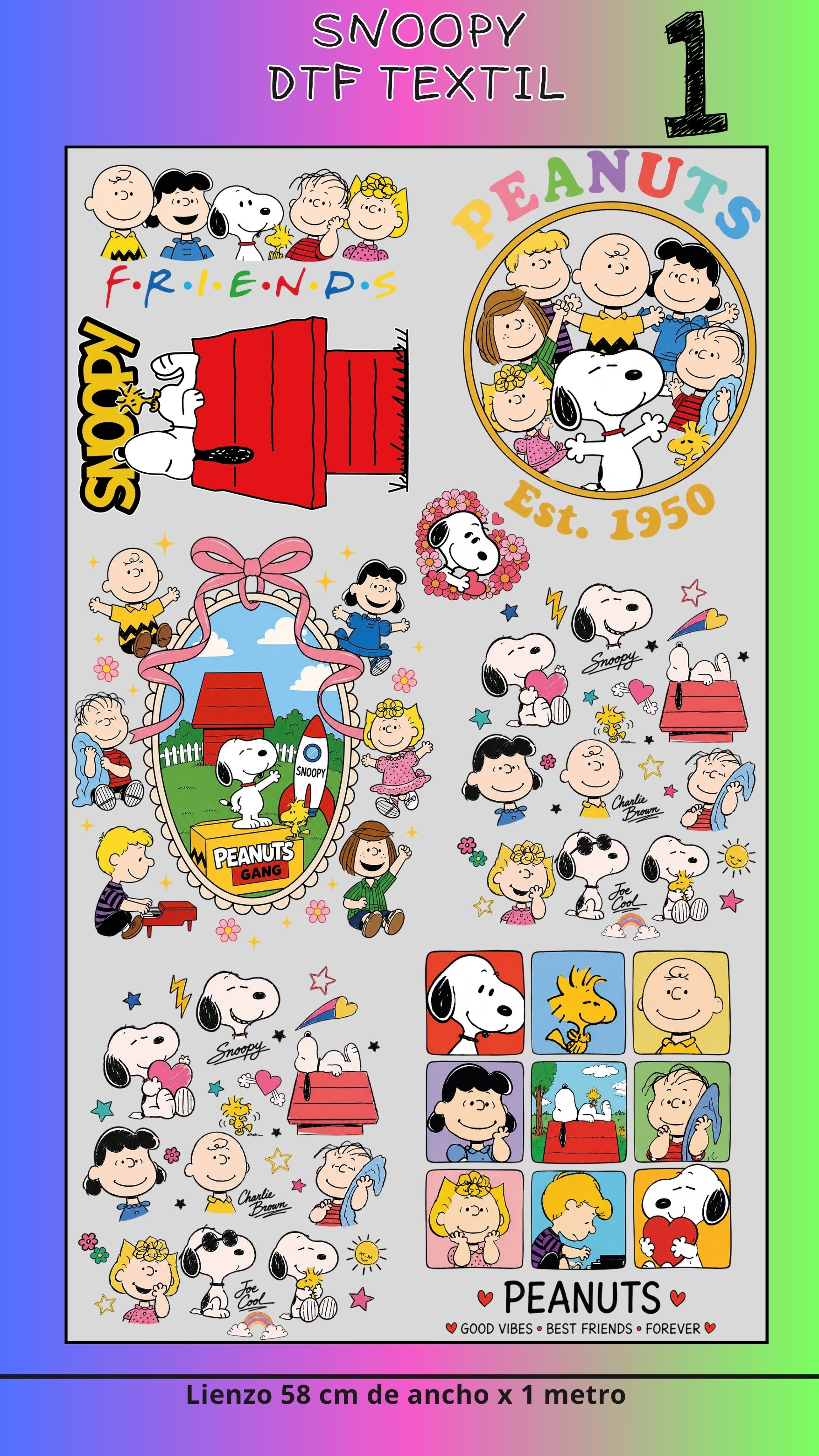 Lienzo Textil Snoopy