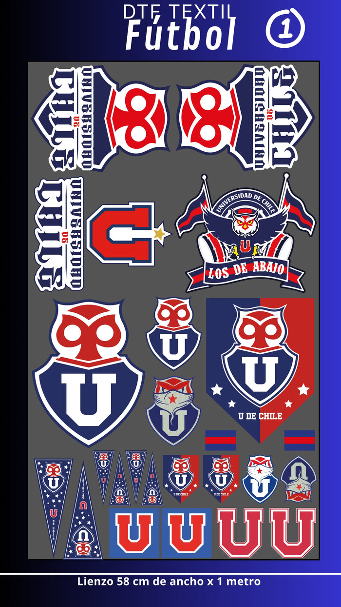 Lienzo Textil Fútbol chile 1