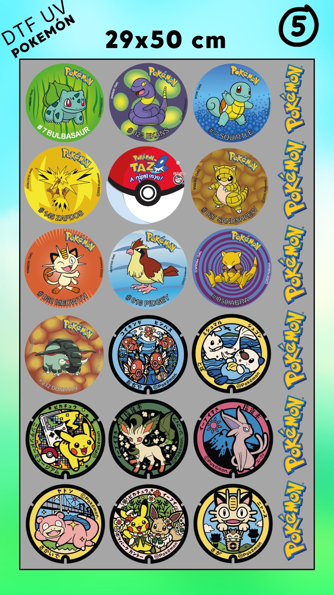 Lienzo UV POKEMON