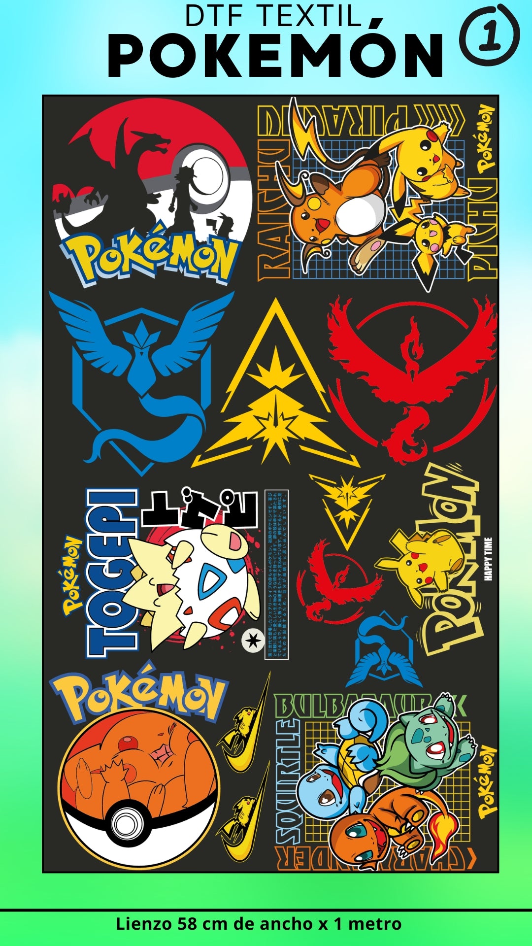 Lienzo TEXTIL POKEMON